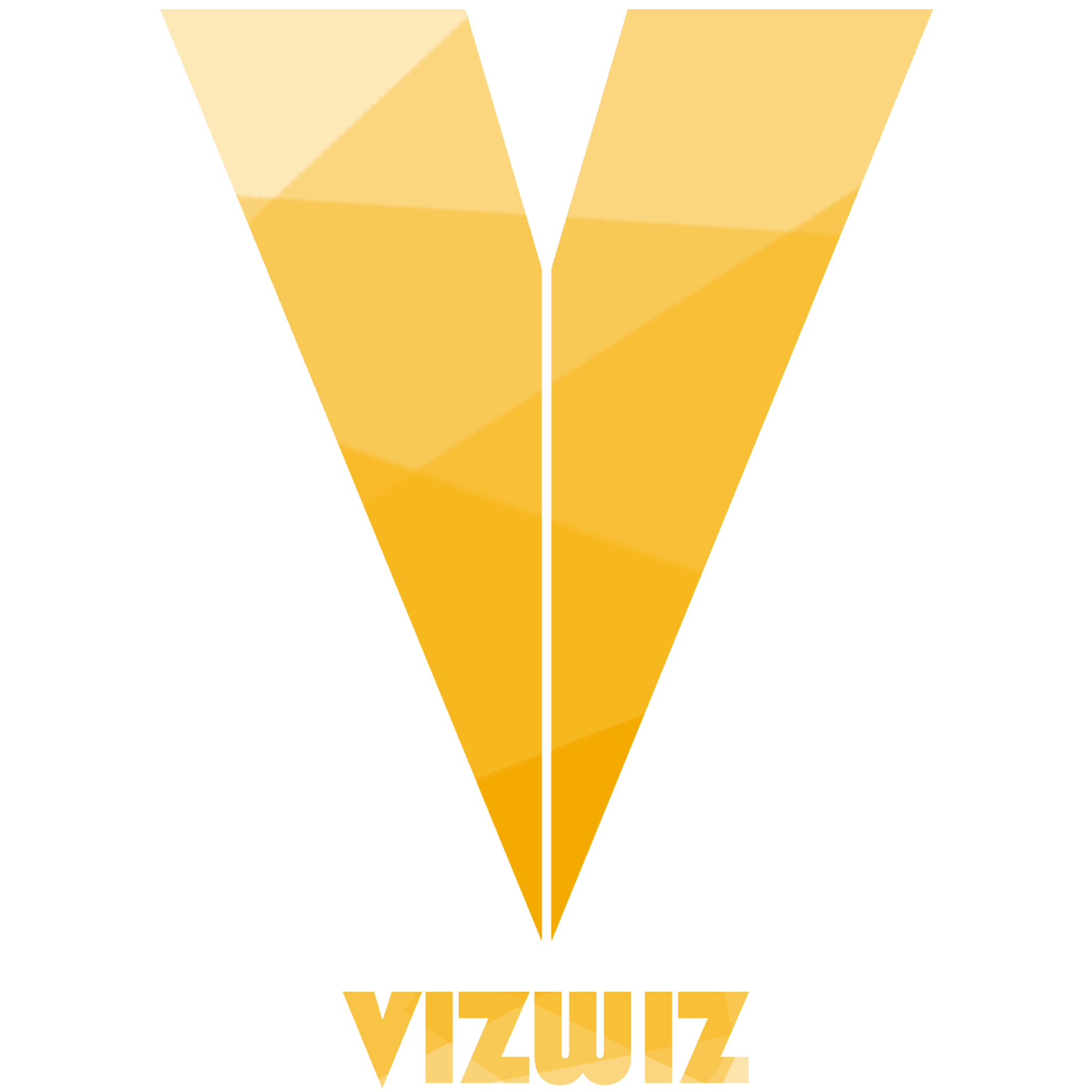 Vizwiz Logo